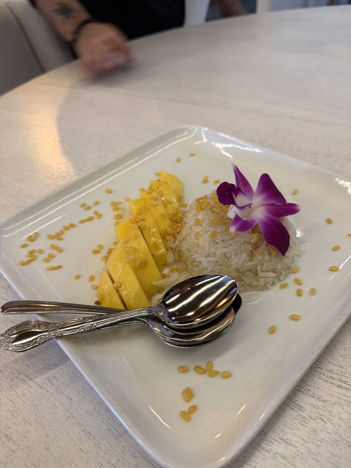 Plate from the Pasta y Chile kitchen